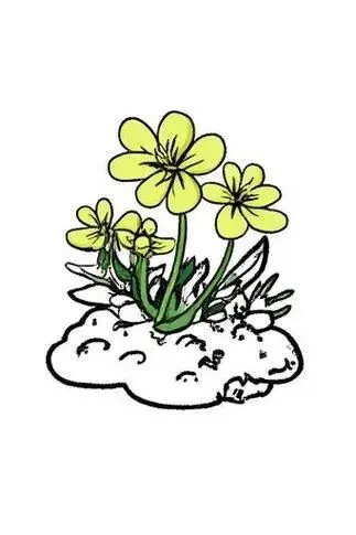 雨天,闲聊中考英语书面表达 第6张
