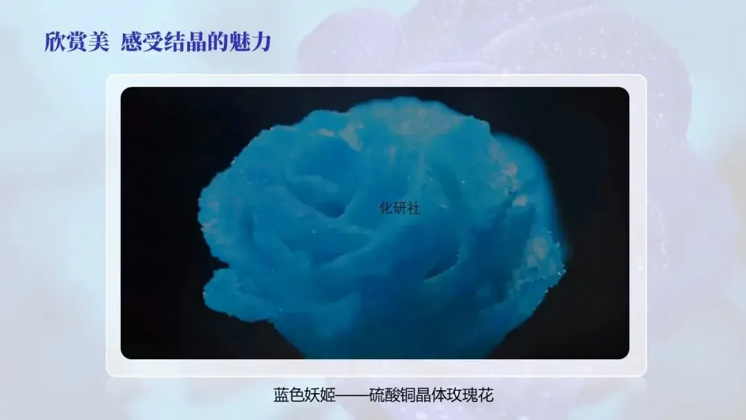 【中考化学复习课件】蓝色妖姬——硫酸铜晶体玫瑰花(溶液复习) 第3张