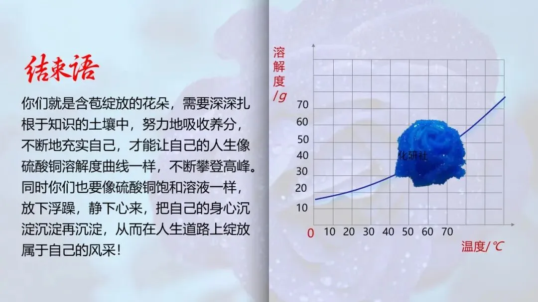 【中考化学复习课件】蓝色妖姬——硫酸铜晶体玫瑰花(溶液复习) 第14张