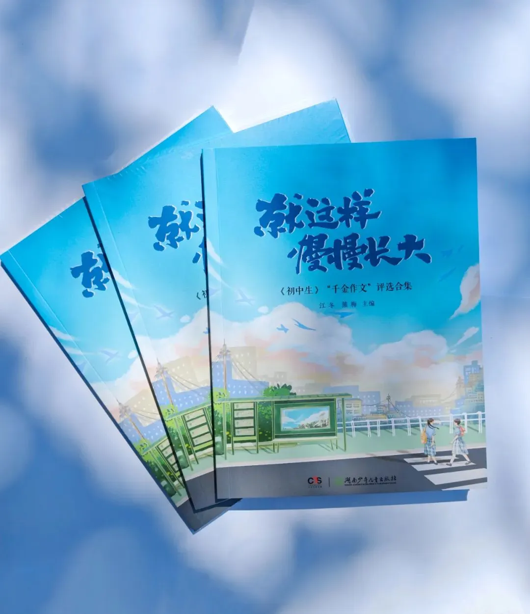 中考作文猜与练 | 戴金凤:发现生活的丰富多彩 第10张
