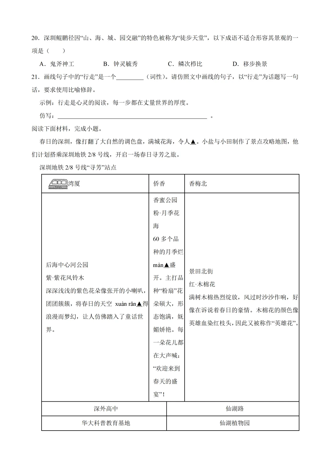 中考语文一轮复习查漏补缺《积累与运用》专项,2026新版,附带答案,高清可打印 第4张