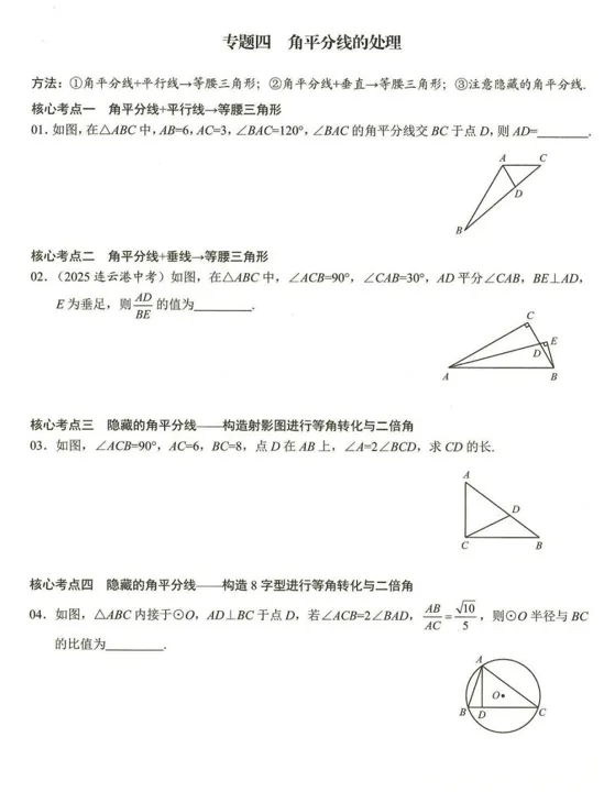【中考资源】2026《初中数学•核心考点》中考专题复习 满分训练 第5张