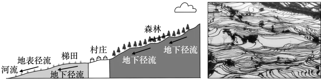 【中考地理】人教版初中地理会考真题分类训练专题11 我国的地理差异-第16张图片-四季读书网