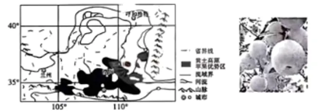 【中考地理】人教版初中地理会考真题分类训练专题11 我国的地理差异-第29张图片-四季读书网