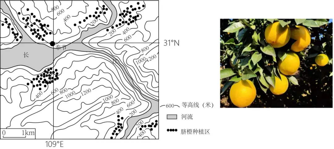 【中考地理】人教版初中地理会考真题分类训练专题11 我国的地理差异-第43张图片-四季读书网