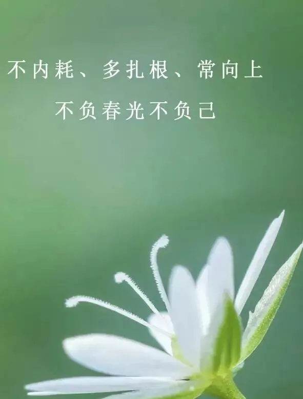 中考倒计时118天:蓄力展芒 第1张