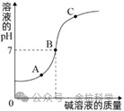 【中考复习】化学专题知识点④:常见的酸和碱 第18张