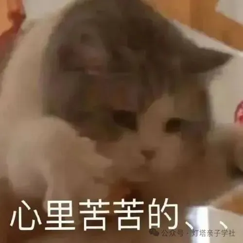 英语高考难度逼近六级,中考阅读听说双升级,到底发生了什么?-第9张图片-四季读书网