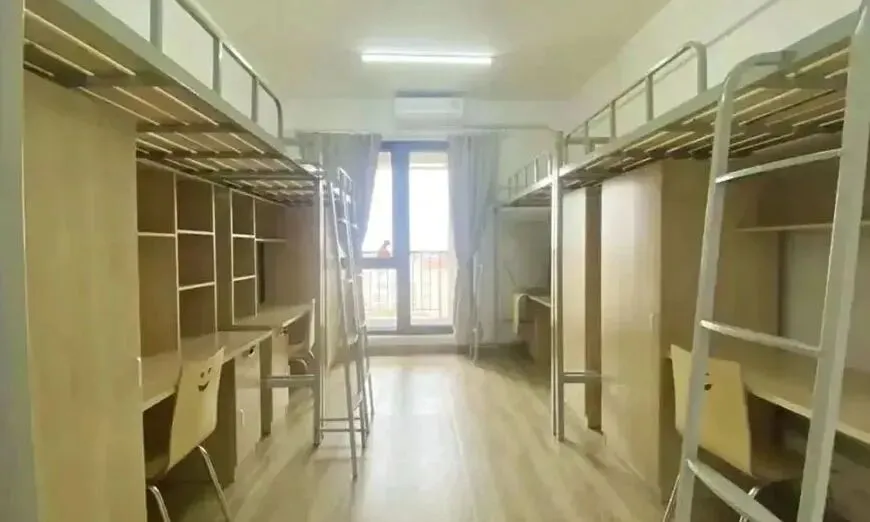 上海融合高中|中考不理想也能读高中?上海震旦融高 2026 招生,不限户籍 + 自主招生! 第5张