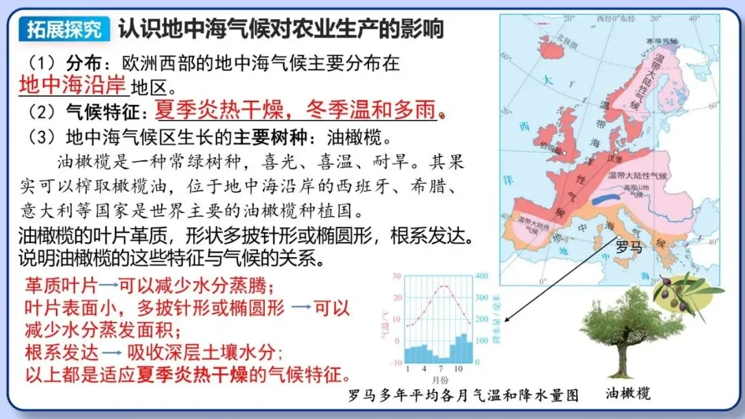 2026年中考地理复习专题九:认识地区(除湘教外通用版) 第46张 2026年中考地理复习专题九:认识地区(除湘教外通用版) 第46张