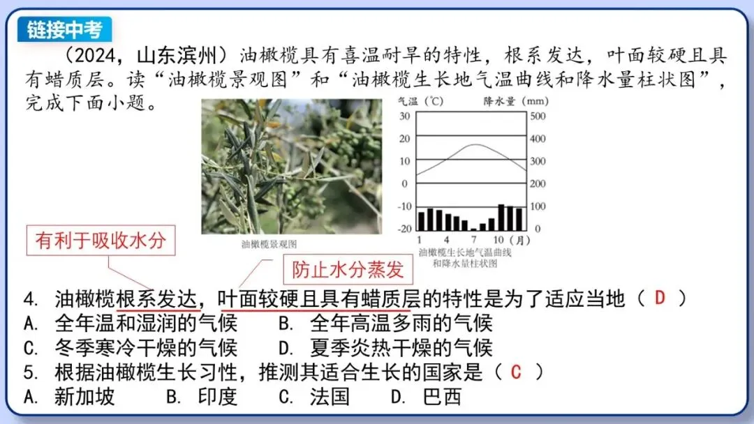 2026年中考地理复习专题九:认识地区(除湘教外通用版) 第51张 2026年中考地理复习专题九:认识地区(除湘教外通用版) 第51张