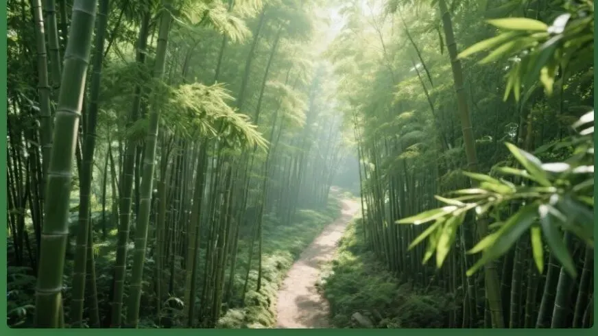 距中考100天 | 扎根百天,破土成林——竹子学校与你越而胜己 第5张