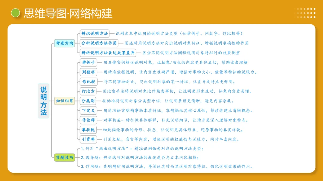 2026年中考语文复习说明文阅读第3讲《说明方法与语言》讲练测 第10张