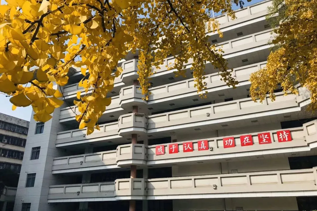 石室文庙开放日|中考备考解读&解锁550-630分进入四文新路径! 第9张