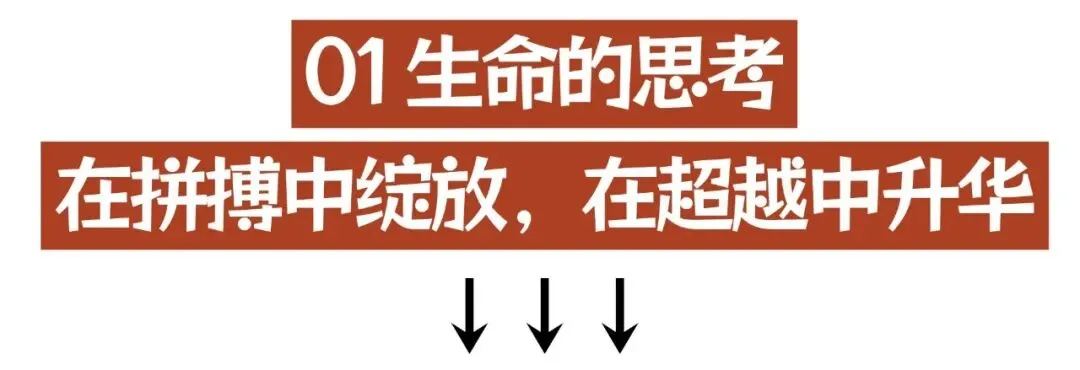 2026中考道德与法治时政热点押题预测:谷爱凌燃爆米兰 第2张