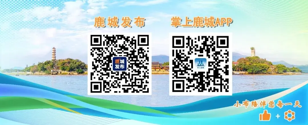 鹿城区教育局发布通知!事关中考… 第8张