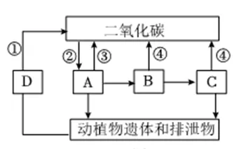 (第41期)生物中考复习——主题三 :生物与环境 第16张 (第41期)生物中考复习——主题三 :生物与环境 第16张