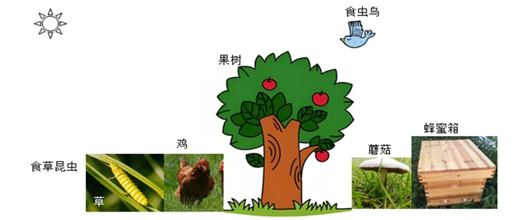 (第41期)生物中考复习——主题三 :生物与环境 第20张 (第41期)生物中考复习——主题三 :生物与环境 第20张