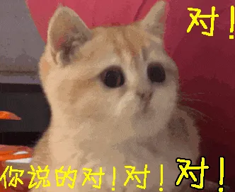 中考 “地狱区” 闵行:小升初怎么办? 第3张 中考 “地狱区” 闵行:小升初怎么办? 第3张