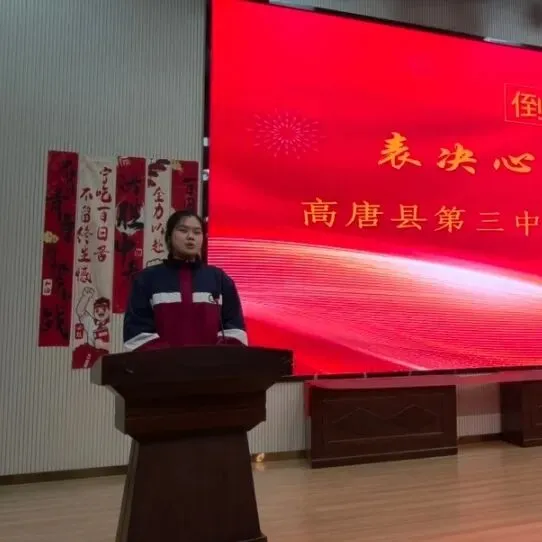 乘风破浪,决战百日——我校隆重举行决胜中考百日誓师大会 第29张