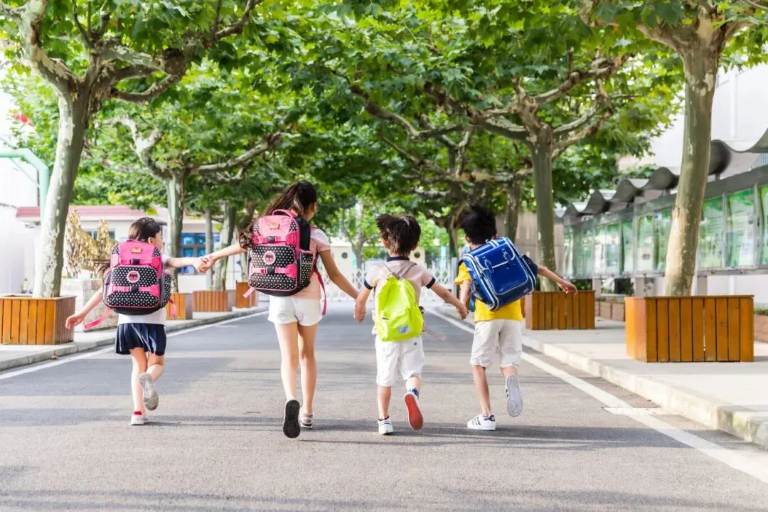 2026佛山中考3月17日开始报名!报考流程→ 第6张 2026佛山中考3月17日开始报名!报考流程→ 第6张