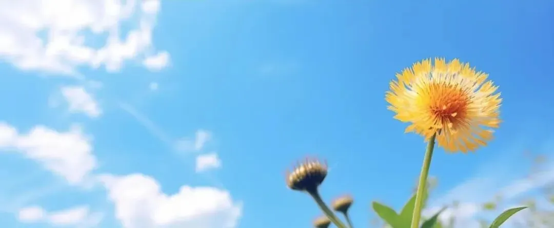 中考语文第一轮复习:06名句名篇默写 第1张