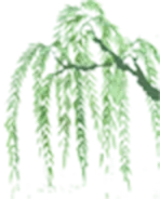陕西中考作文提分指南:让民俗文化成为成长的注脚 第1张