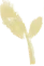 研思共进精准备考 创新赋能迎战中考 —— 我校九年级教师参加江西师大附中集团2026届复习研讨会 第13张