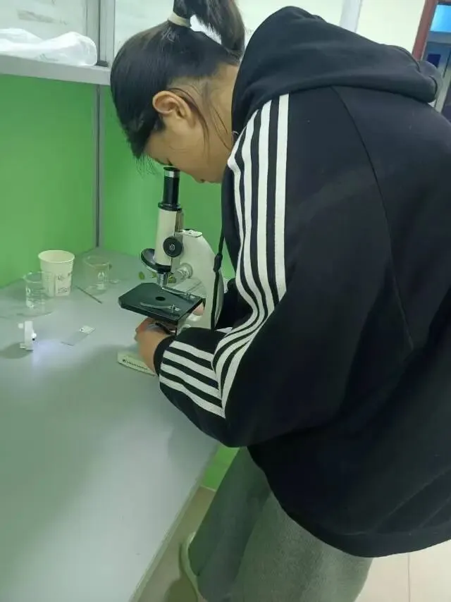 中考必看!初三理化生实验冲刺营来了,练到熟练再上考场! 第4张 中考必看!初三理化生实验冲刺营来了,练到熟练再上考场! 第4张