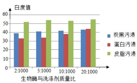 2026年中考化学一轮复习知识点讲解——化学与生活 第19张 2026年中考化学一轮复习知识点讲解——化学与生活 第19张