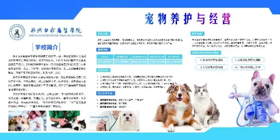 2026年河南省中考重大改革!初中阶段“3+4”直通本科需要多少分?河南的家长需要重点关注! 第3张