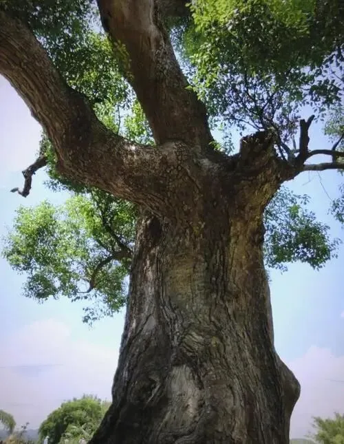 中考微写作任务题设计(三十四) 第1张