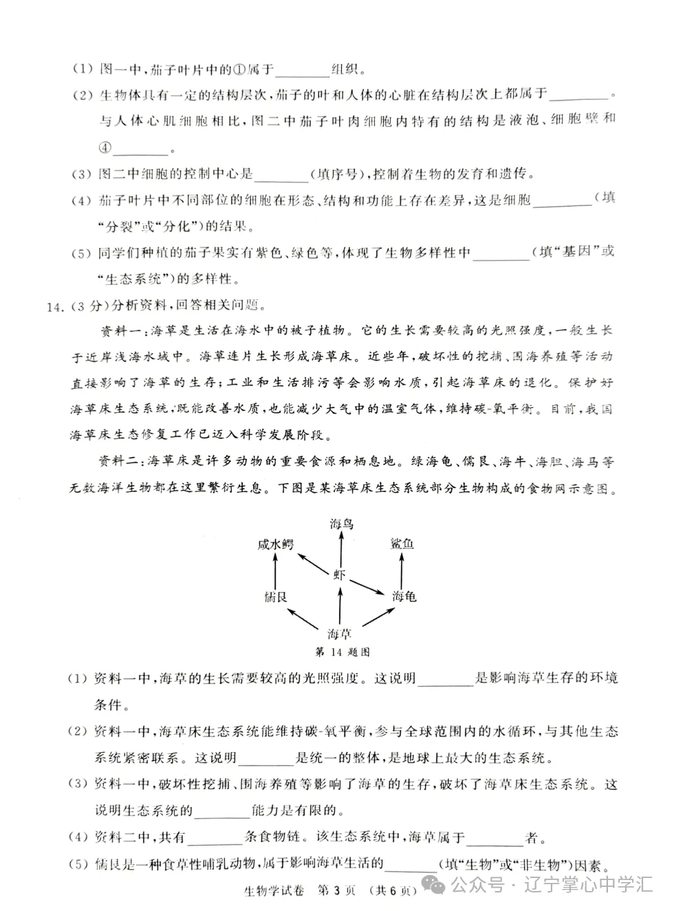 2025年大连中考一模+二模全科试卷(含答案),速速收藏→ 第88张 2025年大连中考一模+二模全科试卷(含答案),速速收藏→ 第88张