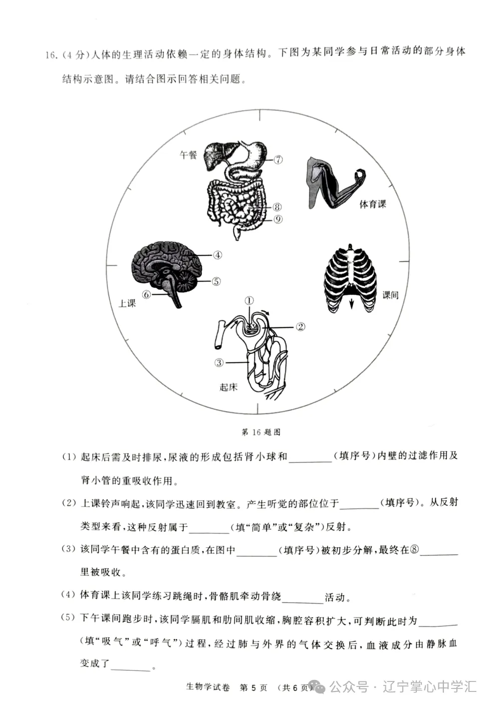 2025年大连中考一模+二模全科试卷(含答案),速速收藏→ 第90张 2025年大连中考一模+二模全科试卷(含答案),速速收藏→ 第90张