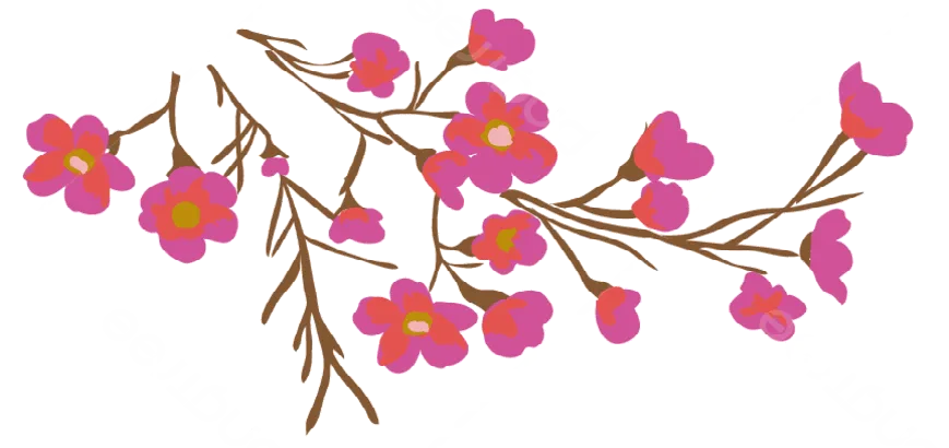 真题模考,四月假期课之二 :备考精英高中,两次模拟考试 (Online, Onsite). 第7张