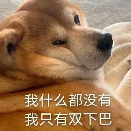 【史纲模考】请做好,上考场的准备️ 第29张