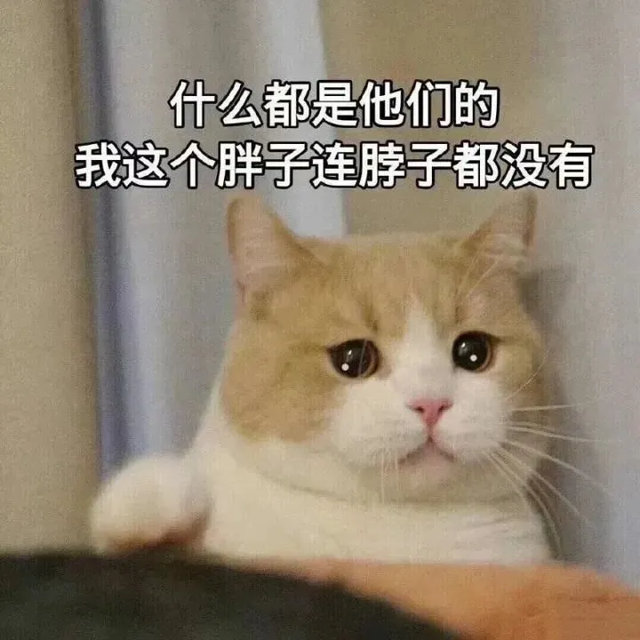 【史纲模考】请做好,上考场的准备️ 第31张