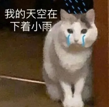 考生高考时用手机上传真题?招生办:或因5G信号屏蔽漏洞 第14张
