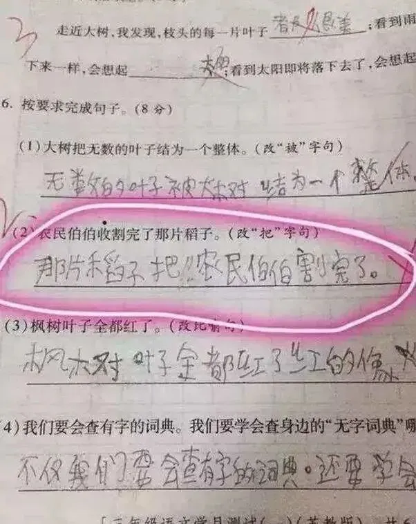小学生0分试卷遭曝光,给我头笑掉了哈哈哈哈哈哈哈哈 第30张