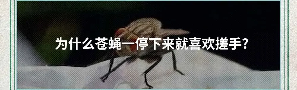 高考试卷真是在监狱印刷的吗?�� 第3张
