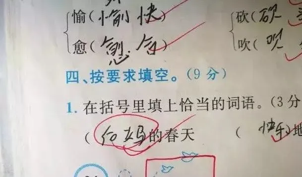 【荐读】小学生0分期中试卷曝光,看完笑抽哈哈哈哈哈! 第6张