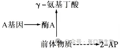 2026届高三年级上学期模拟考试(一)生物学试题答案及解析 ⊙ 第13张