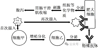 2026届高三年级上学期模拟考试(一)生物学试题答案及解析 ⊙-第5张图片-四季读书网