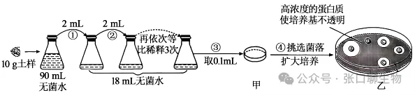2026届高三年级上学期模拟考试(一)生物学试题答案及解析 ⊙-第8张图片-四季读书网