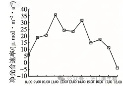 2026届高三年级上学期模拟考试(一)生物学试题答案及解析 ⊙-第12张图片-四季读书网