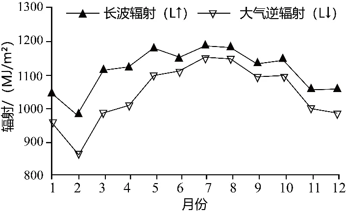 五年(2021-2025)高考地理真题分类汇编专题03 地球上的大气(全国通用)(原卷版) 第4张 五年(2021-2025)高考地理真题分类汇编专题03 地球上的大气(全国通用)(原卷版) 第4张