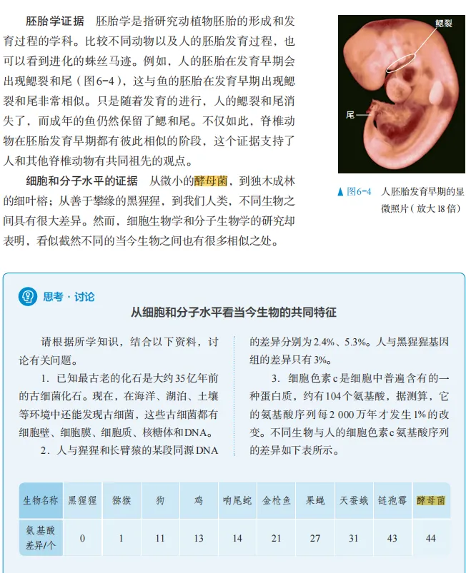 精读教材:酵母菌核心考点系统梳理与高考真题溯源 第3张