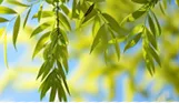 93天考俄语真题打卡 第1张