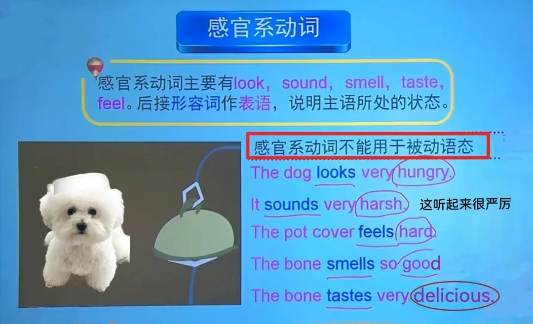 中考考点:Unit6 一般过去时的被动语态和情态动词的被动语态 第8张