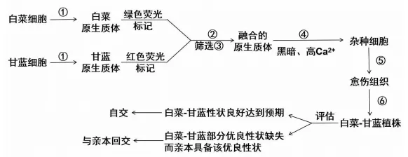 东北三省三校2026年高三第一次联合模拟考试生物试题试题 第7张